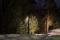 night view in colors