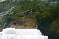 Angara. Steps to the water
