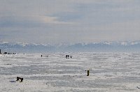 Baikal sideview