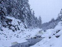 Кивач