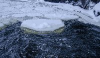 Край замерзающей воды