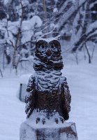 Сова