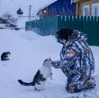 Мори и котики