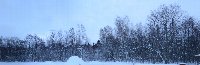 Окрестный лес