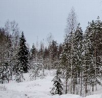 Дорога на Белые Мосты