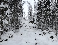 Арка в заснеженном лесу