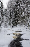 Поток, который не замерз