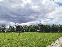 Дорога и лес